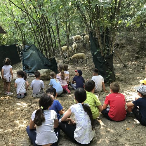 01AB36A3-1FD6-40B6-AF2B-E6F1857E7FDB