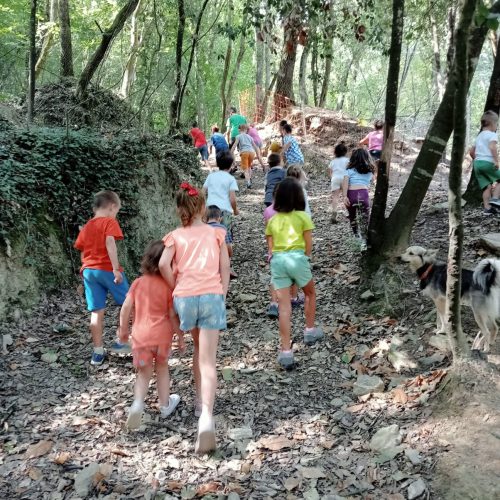 057CFC9A-5275-44EE-AB07-63716DA835D7