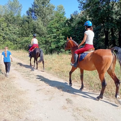 06D5BEF7-3099-4CC2-A7BA-84F4DC4D64BC