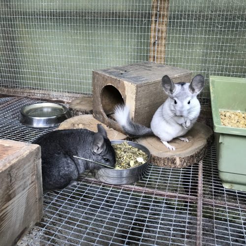 0B9296C5-FBA8-4680-9BD4-93CB400F59FD