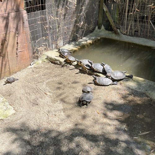 24676431-0A11-4EC2-8151-9A7DD890065E