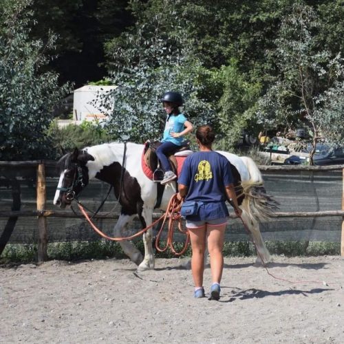 27A67B11-8A3C-4C44-92AF-094236D349F8