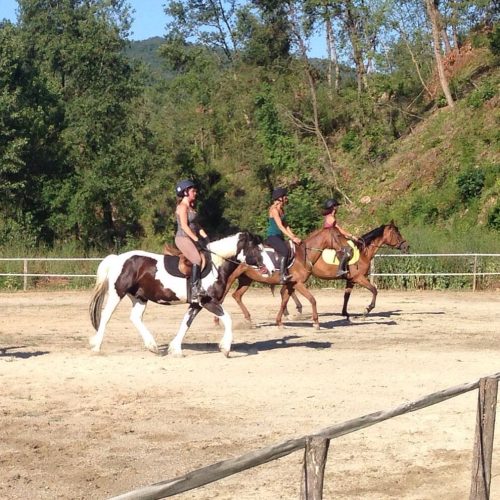 3C56BC4A-41F1-4AEA-86C5-588B6A327FD3