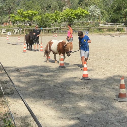 419FC9BB-51EE-4B59-B76A-86A2559837B5