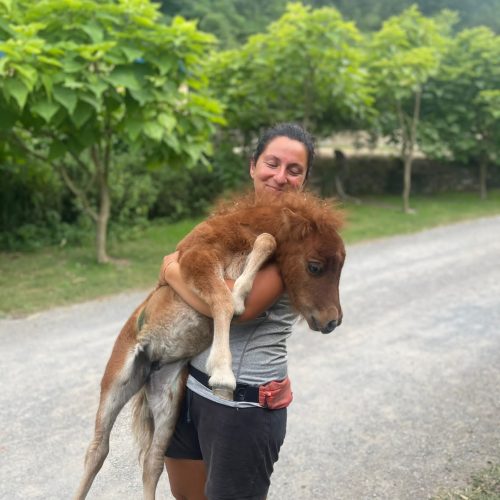 50EC7099-ADC0-4129-8DF5-C85916CB3E40