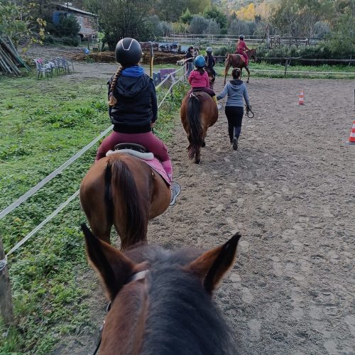 6C1A017E-1FA7-4BE6-A61B-ACC77D8D9315