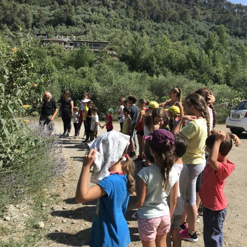 7E22BCE6-6FA8-4173-9969-A4EA4F1A3990