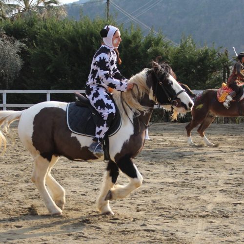 7E71FA26-85F1-4A6E-9349-E22132FF3000