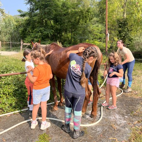 866E0C82-4F0F-4742-9372-9C8AC26FF0E1