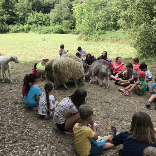 9783D98A-6ABD-483E-BFDB-DC06FBE68576