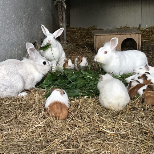 9E9E9445-0D94-4D05-A8A0-94DB60F2D6DC