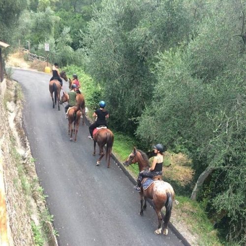 A0372D4B-24AE-42CE-930E-7CC13A4EB6DE