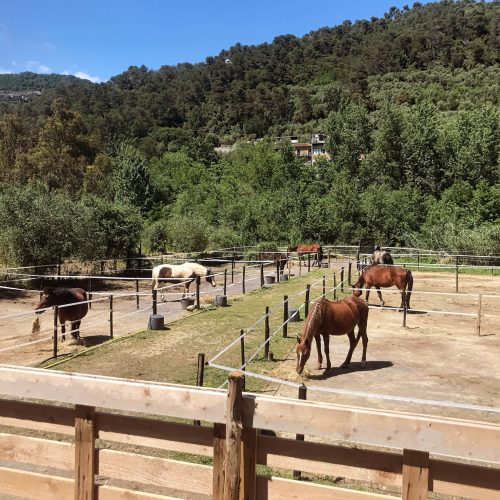 A50FE42E-B428-44DD-B19C-3DEF6C7EFC53