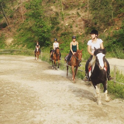 C283234E-1BF8-4B29-8F81-F6B13FBEC8DC