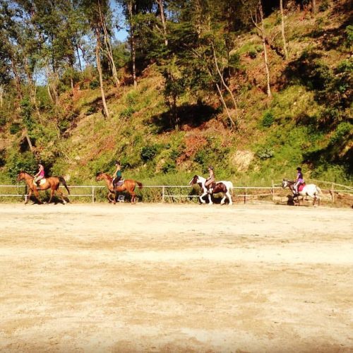 CFEB84D5-80CA-4D1D-B54A-A80475AF29B1