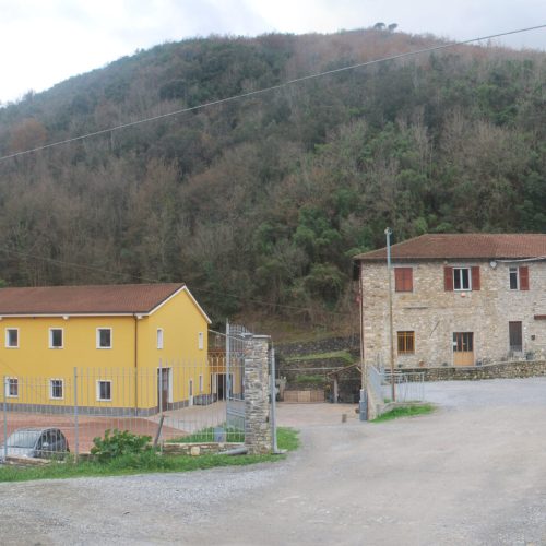 DSC_0915_stitch