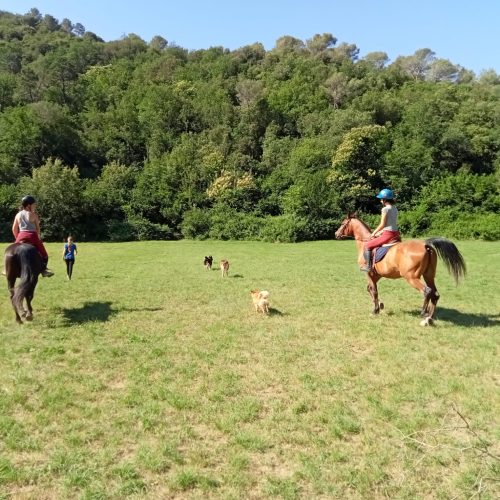 E50EF2AB-F05F-4B5F-8AFF-343D6030D153