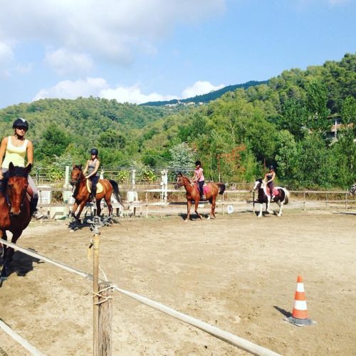 EAB66456-24E4-4C60-B4B8-158D17290EEB