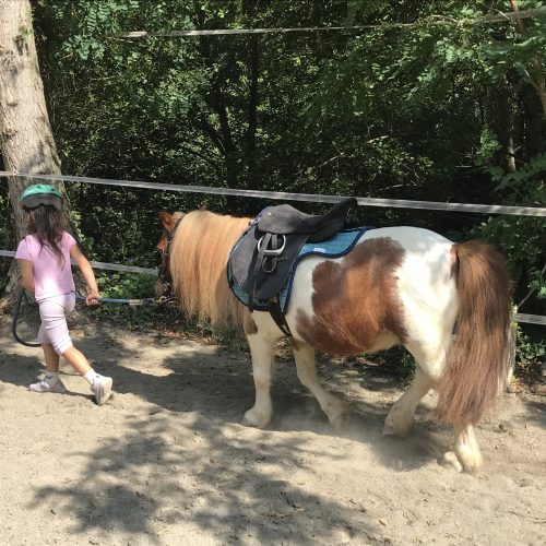 EFC9741F-E205-4EC7-BA7C-98EBAAA2BAEF