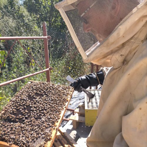 F9CF4FED-EB51-47EA-A861-18940D831C56